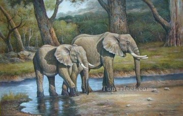 dw010dD 動物の象 Oil Paintings